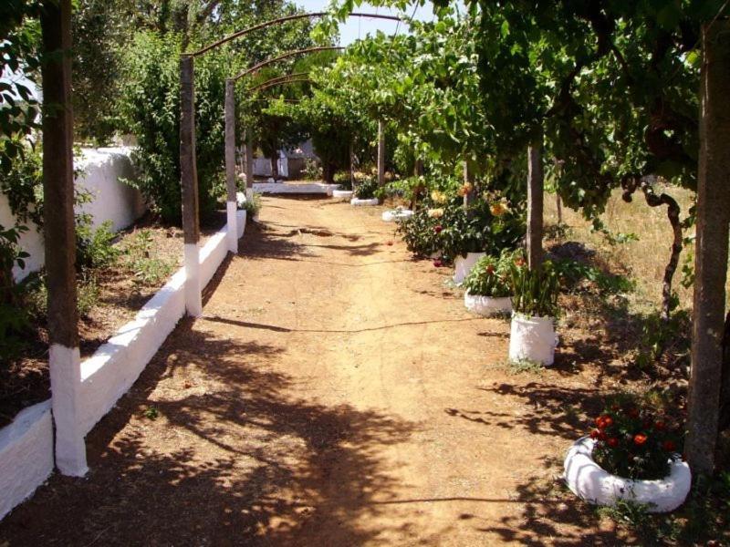 Turimenha Guest House Marvao  Ngoại thất bức ảnh