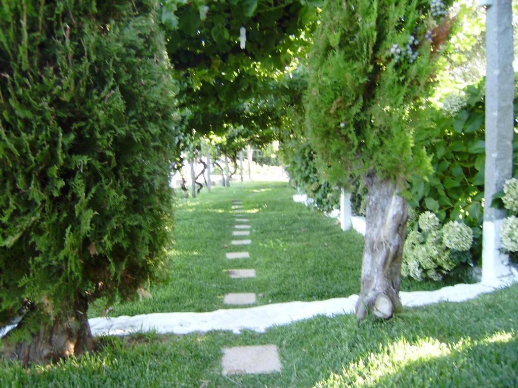 Turimenha Guest House Marvao  Ngoại thất bức ảnh
